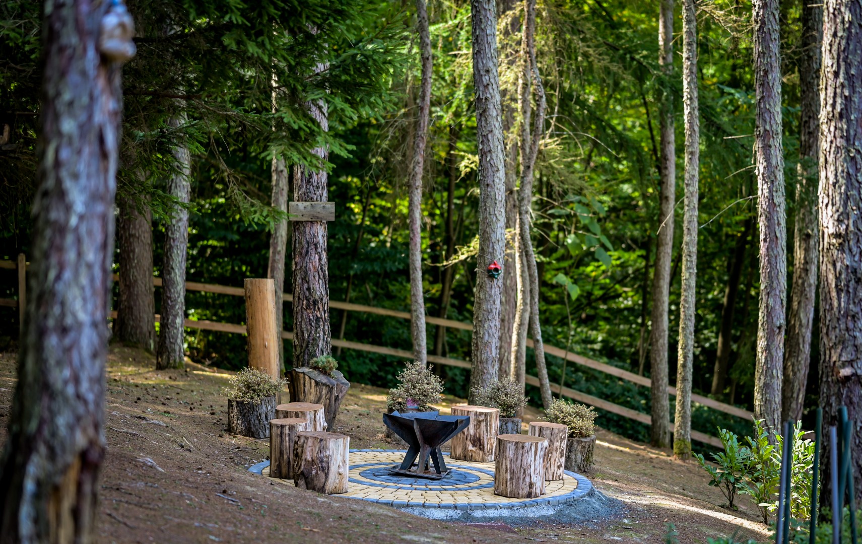 Pine_Hill_Klenovnik (54)-2026
